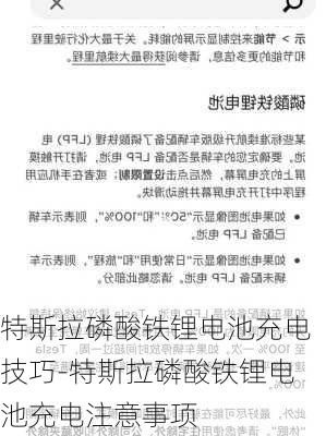 特斯拉磷酸铁锂电池充电技巧-特斯拉磷酸铁锂电池充电注意事项