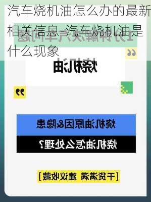 汽车烧机油怎么办的最新相关信息-汽车烧机油是什么现象