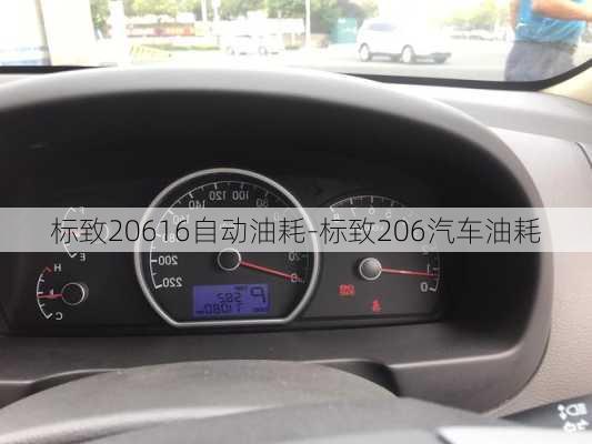 标致20616自动油耗-标致206汽车油耗