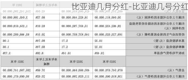 比亚迪几月分红-比亚迪几号分红