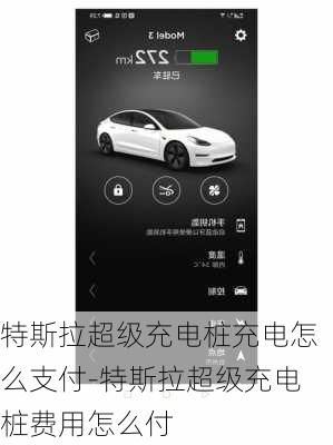 特斯拉超级充电桩充电怎么支付-特斯拉超级充电桩费用怎么付