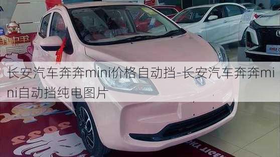 长安汽车奔奔mini价格自动挡-长安汽车奔奔mini自动挡纯电图片