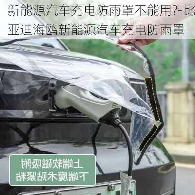 新能源汽车充电防雨罩不能用?-比亚迪海鸥新能源汽车充电防雨罩