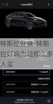 特斯拉好嘛-特斯拉好吗为啥那么多人买