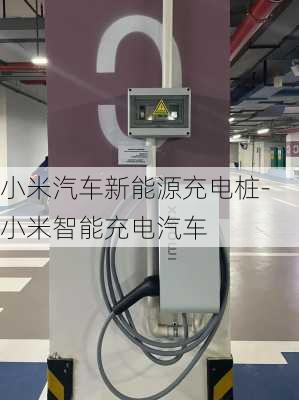 小米汽车新能源充电桩-小米智能充电汽车