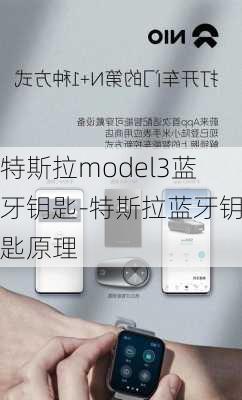 特斯拉model3蓝牙钥匙-特斯拉蓝牙钥匙原理