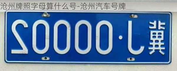 沧州牌照字母算什么号-沧州汽车号牌