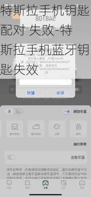 特斯拉手机钥匙配对 失败-特斯拉手机蓝牙钥匙失效