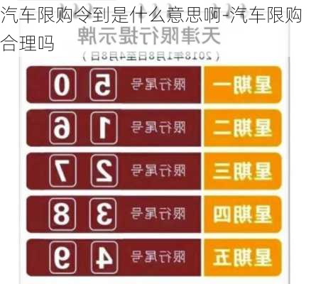 汽车限购令到是什么意思啊-汽车限购合理吗