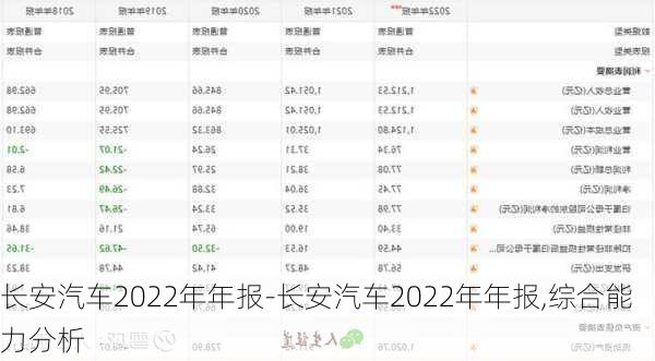 长安汽车2022年年报-长安汽车2022年年报,综合能力分析