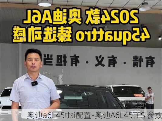 奥迪a6l 45tfsi配置-奥迪A6L45TFSI参数