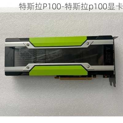 特斯拉P100-特斯拉p100显卡