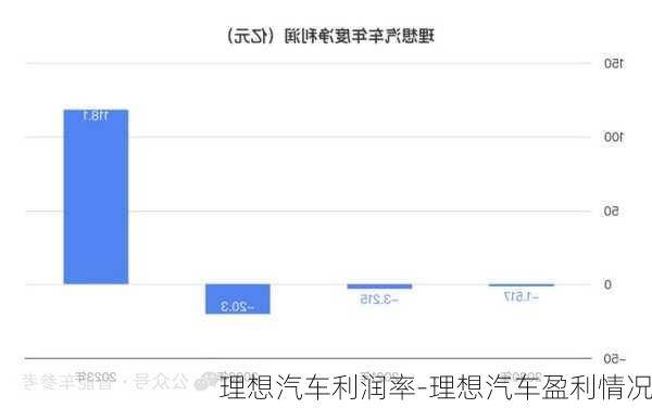 理想汽车利润率-理想汽车盈利情况