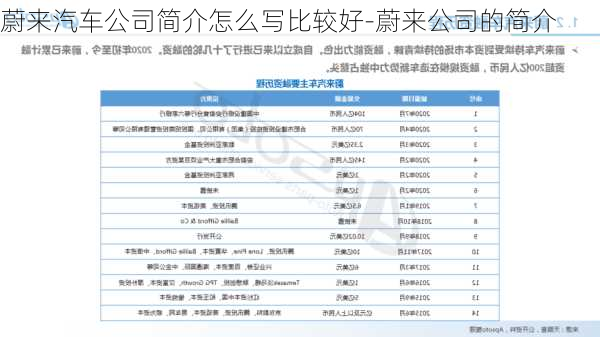 蔚来汽车公司简介怎么写比较好-蔚来公司的简介