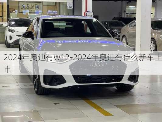 2024年奥迪有W12-2024年奥迪有什么新车上市