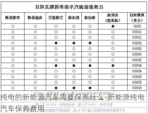 纯电的新能源汽车需要保养什么-新能源纯电汽车保养费用