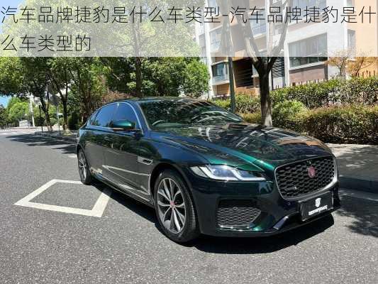 汽车品牌捷豹是什么车类型-汽车品牌捷豹是什么车类型的